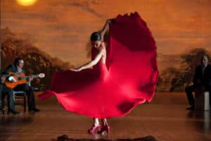 bailarines profesionales de flamenco