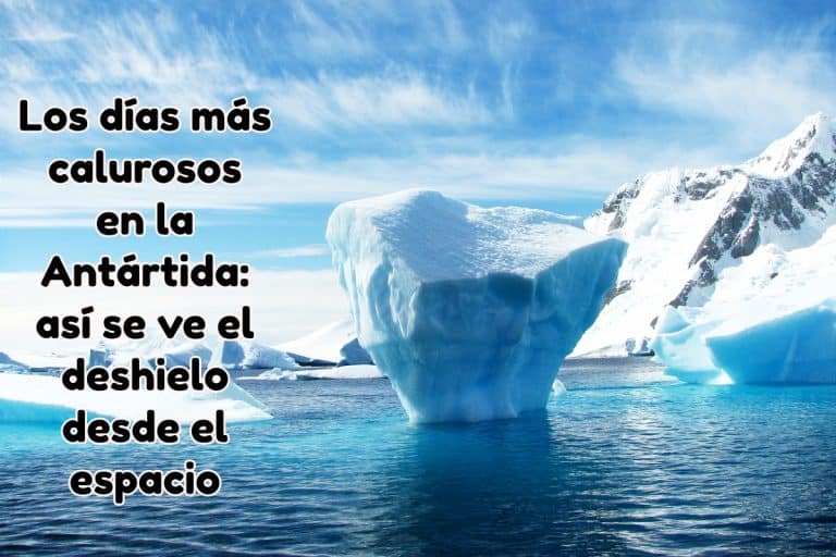 trozos-de-hielo-flotando-por-el-agua