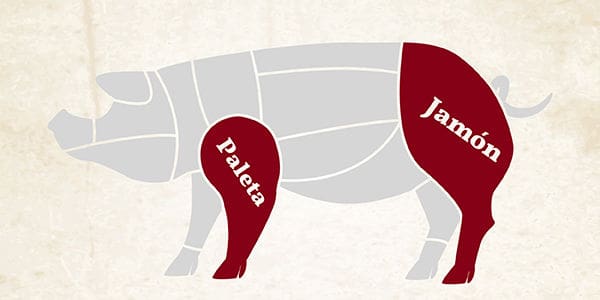 diferencias jamón y paleta