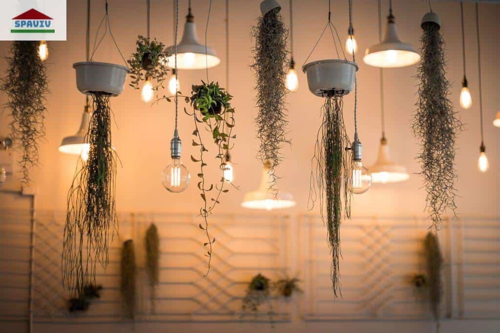 decoracion