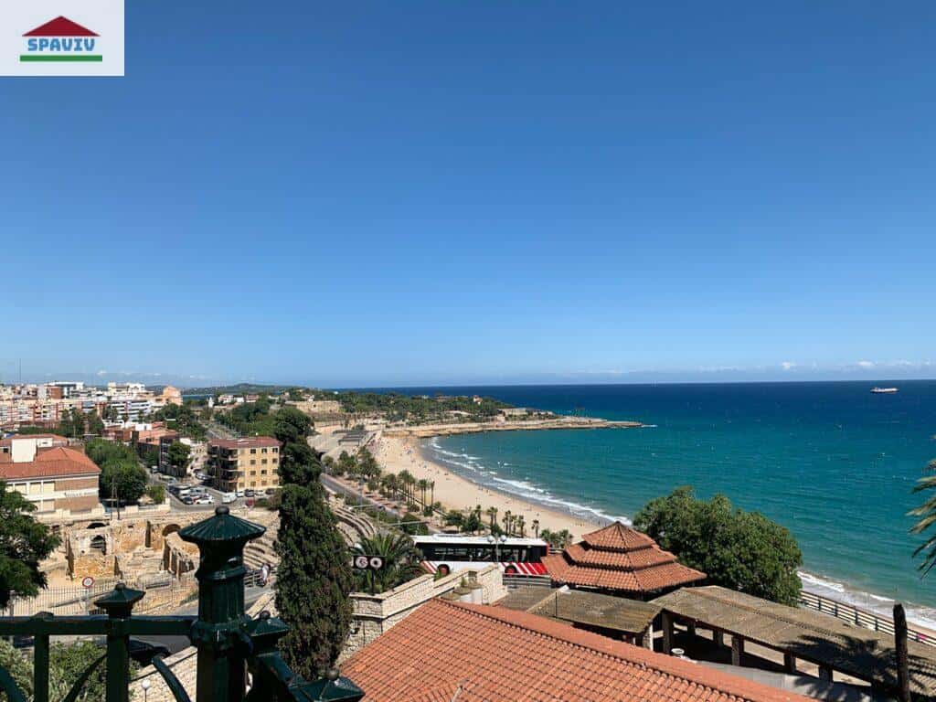aerial view of city near sea during daytime