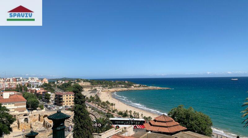 aerial view of city near sea during daytime