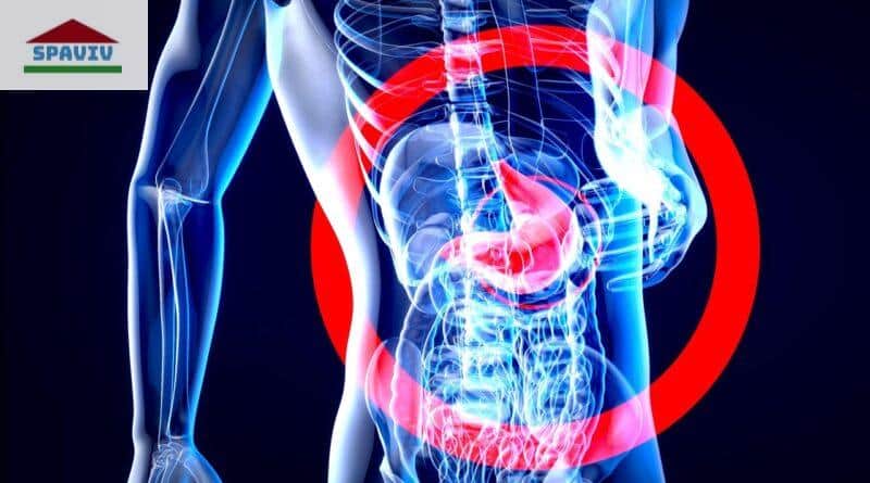 Cómo mejorar el sistema digestivo