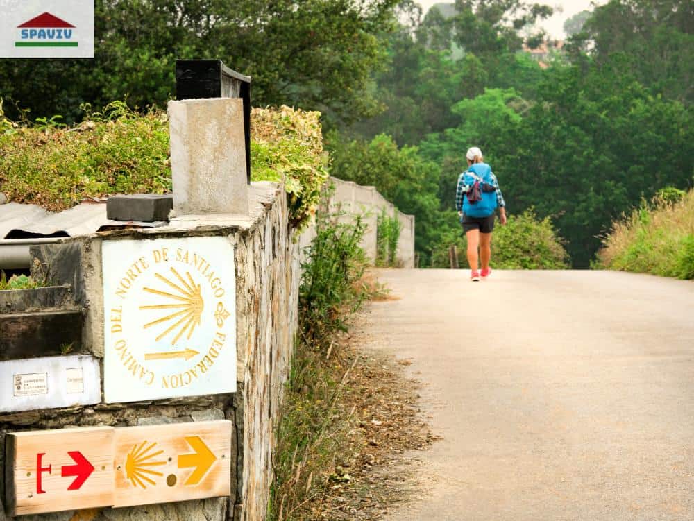 Camino de santiago